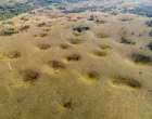 Vrtače - vrtoče u Bosanskom Petrovcu/