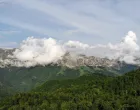 Foto baza, &Scaron;umski predjeli/