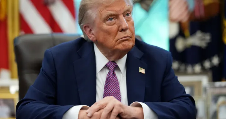 donald trump X/