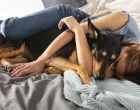 psi, spavanje pasa, pas u krevetu, spavanje sa psom/Freepik