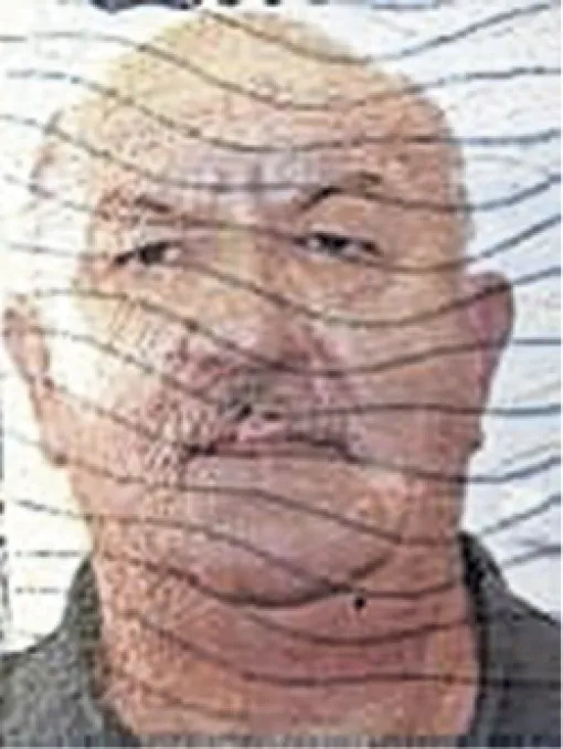 Alija (Hamdije) Halimanović