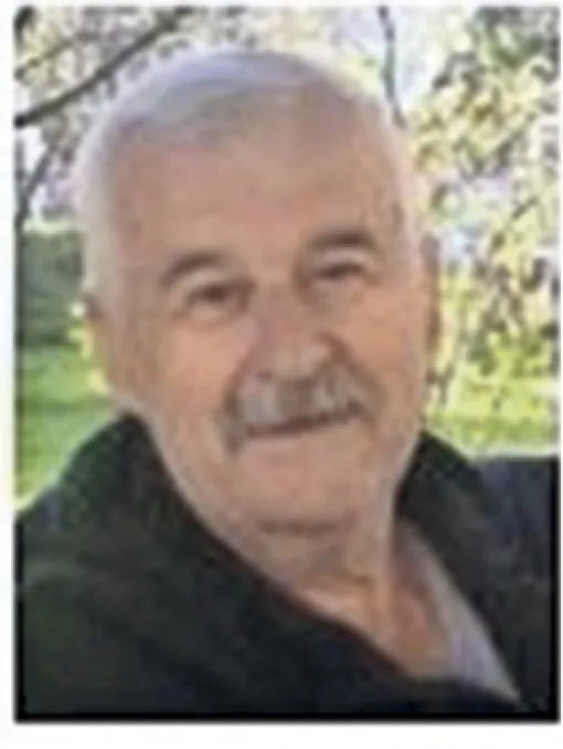 Husein (Faika) Hadžibegović