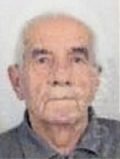 Hamdo (Rašida) Dževlan